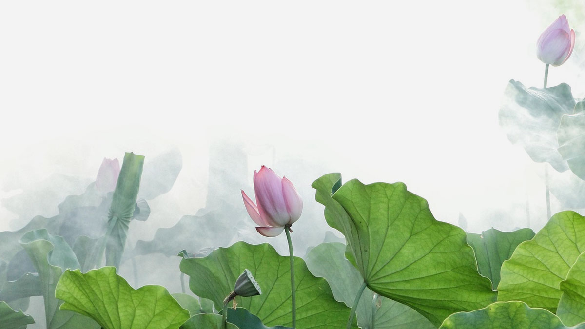 心を整える占いのすすめ。算命学とタロットを使い、相談者の伴走者として寄り添う鑑定士しえんのメッセージ。